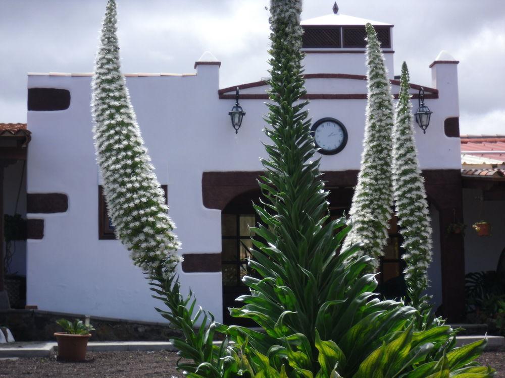 Отель Finca El Picacho Valle de Guerra Экстерьер фото